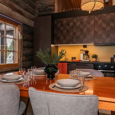 빌라 Huippu 소티